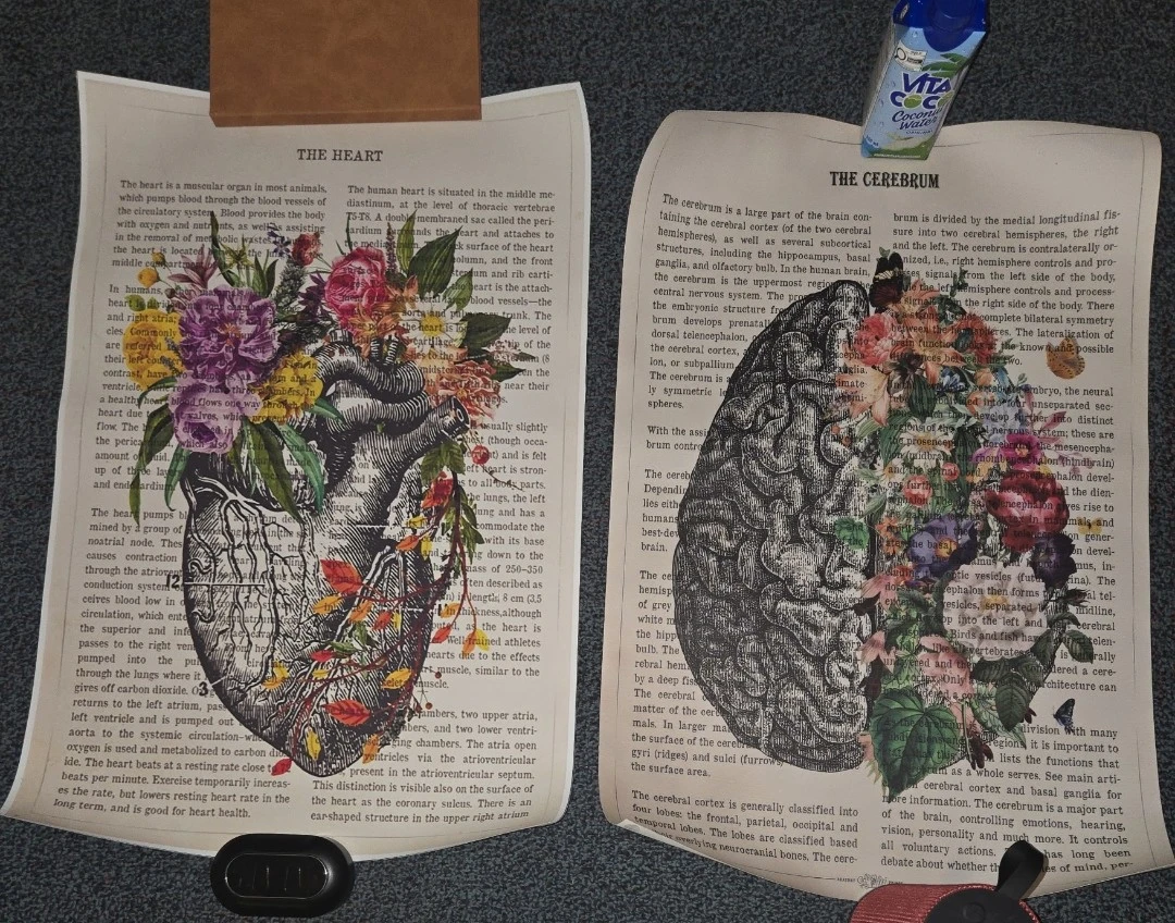 Anatomical brain, heart, plane prints, neuroscience poster - photo 3