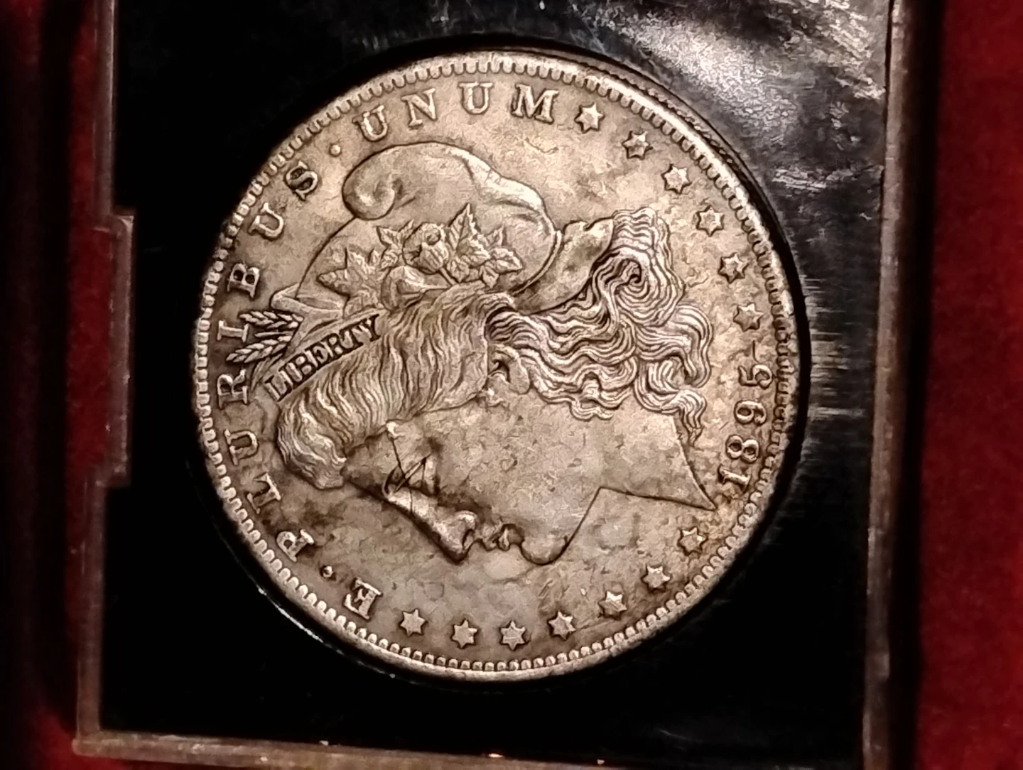 1895 Morgan Silver Dollar - photo 5