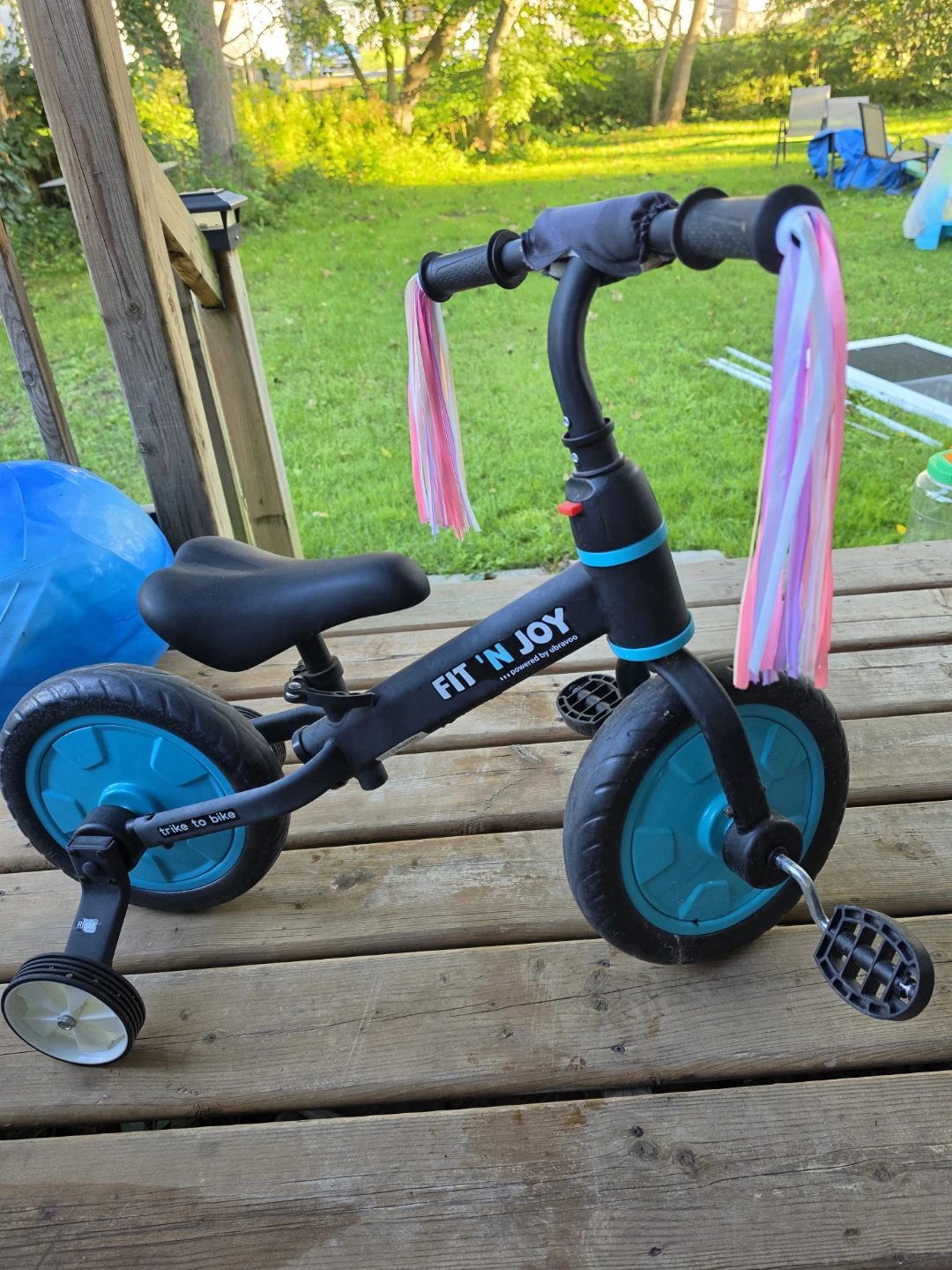 Fit 'N Joy Trike to Bike
