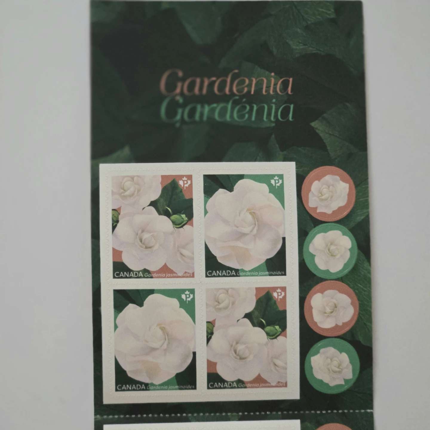 Canada Post Gardenia Permanent Stamps - photo 3