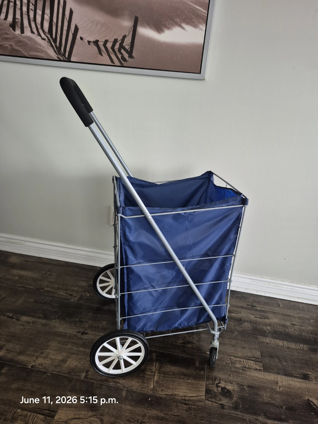 Blue Shopping Cart