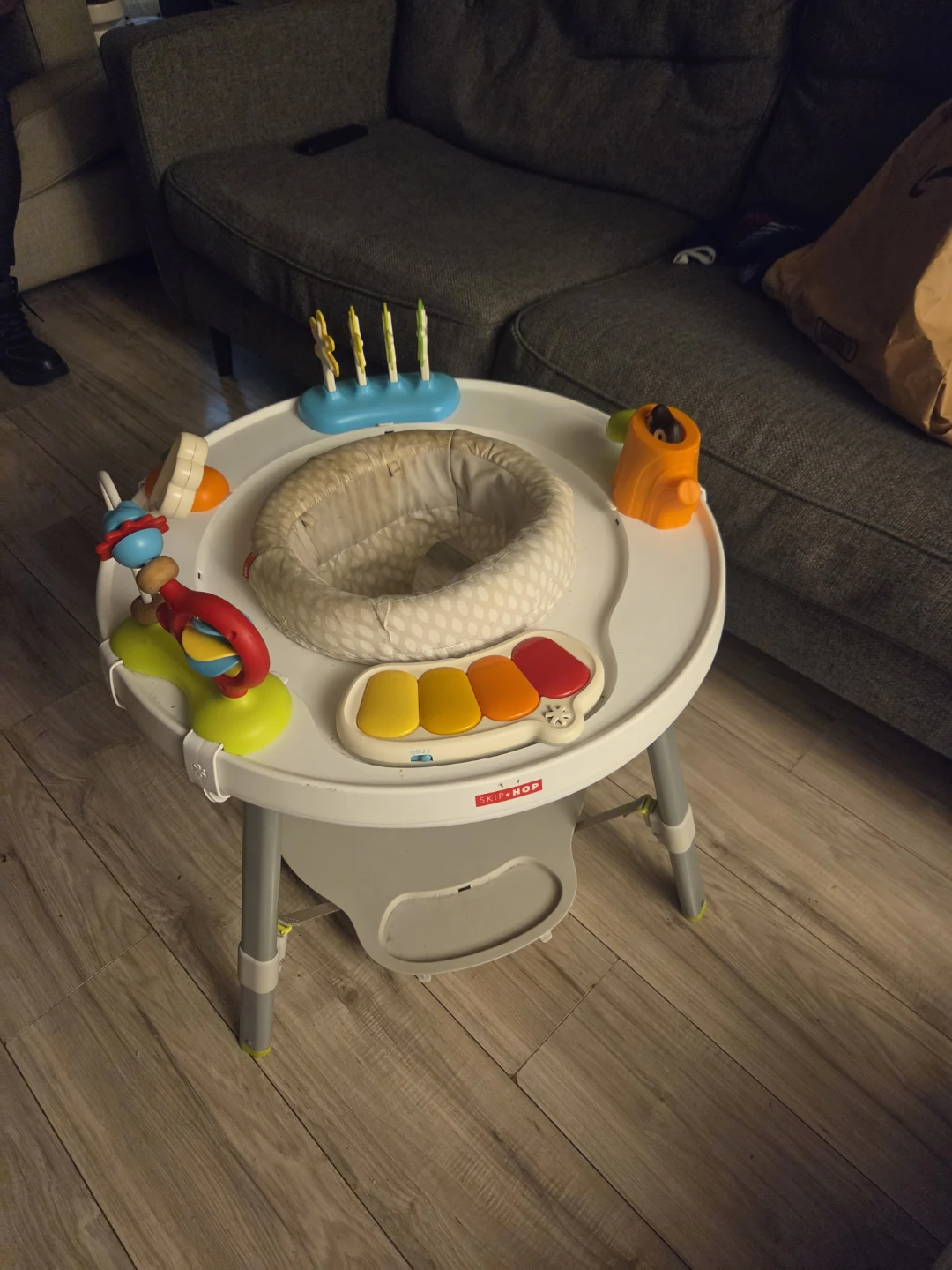 Skip Hop Baby Activity Center