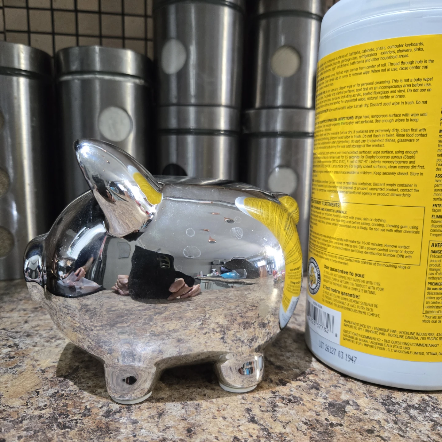 Silver Piggy Bank - photo 5