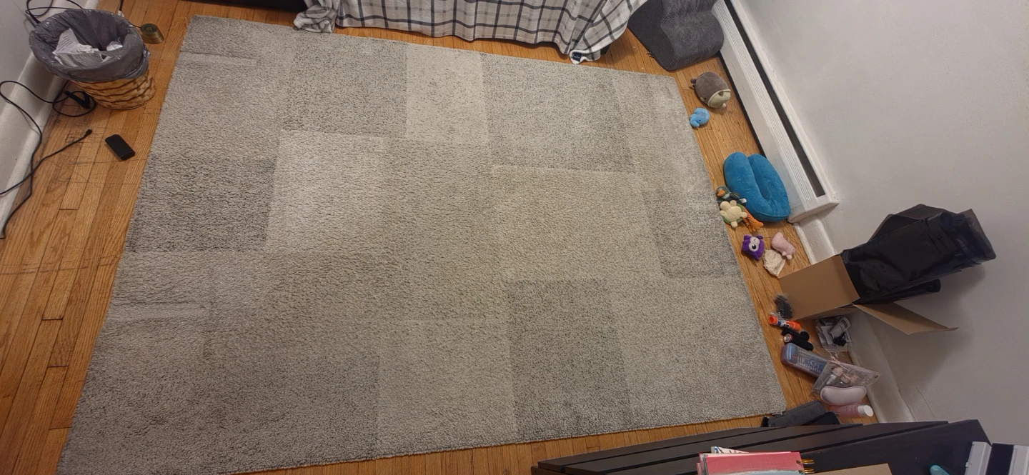Beige Textured Area Rug