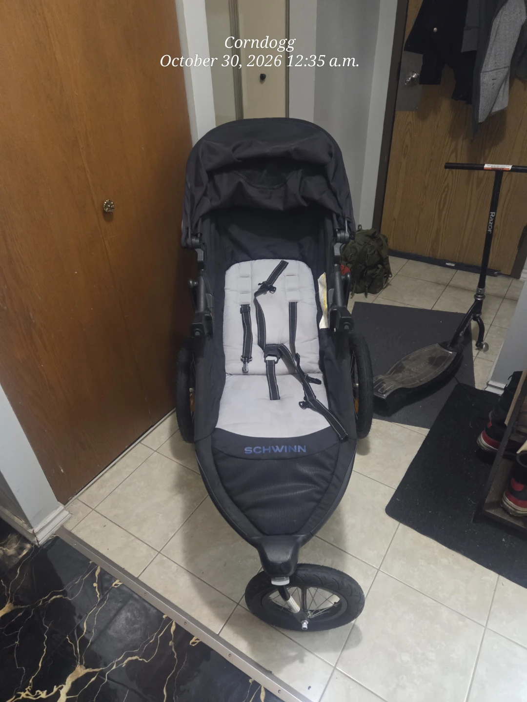 Schwinn Jogging Stroller - photo 2
