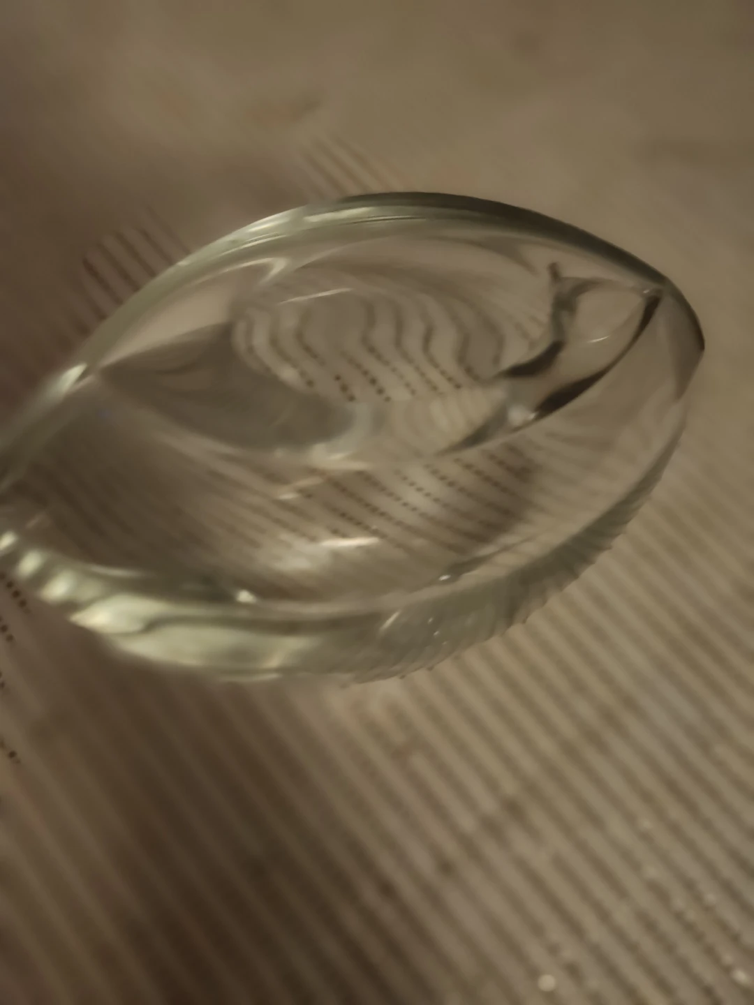 Clear Glass Decorative Vase