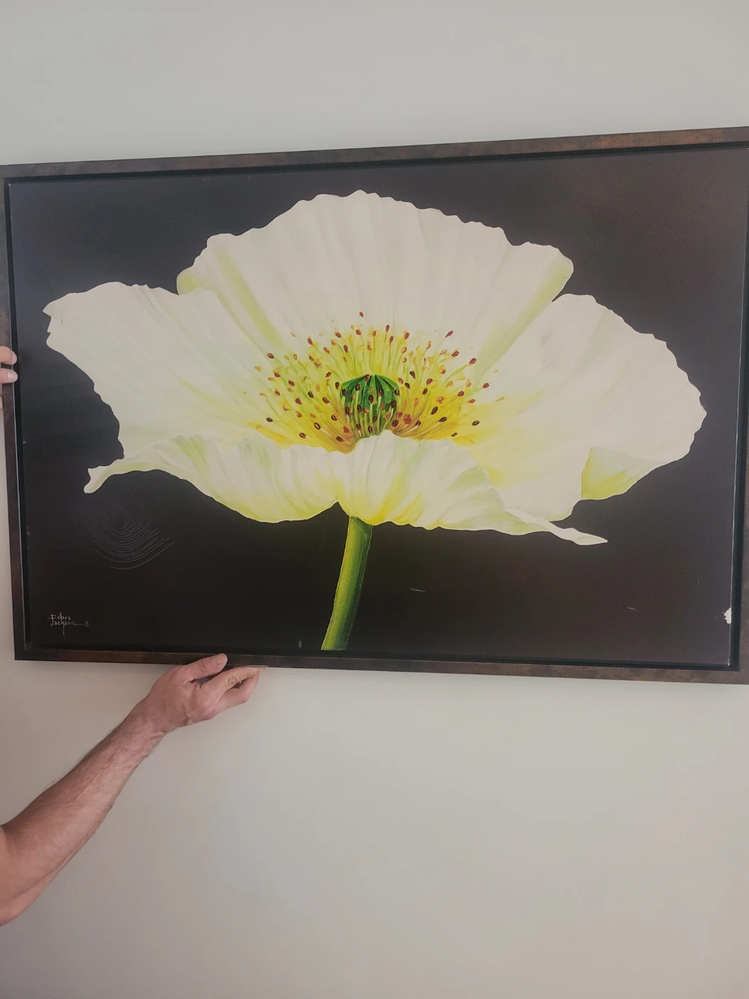 Debra Jackson framed poppy print