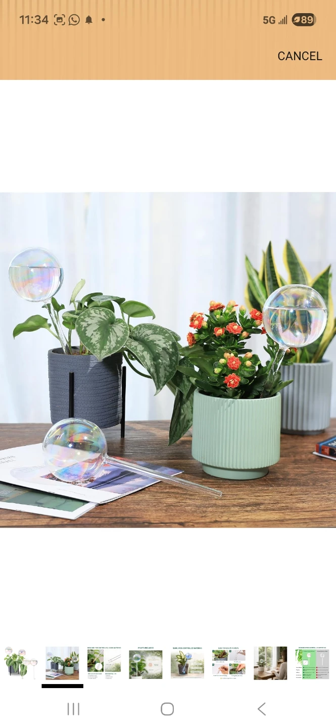 Set of Glass Self-Watering Globes - photo 2