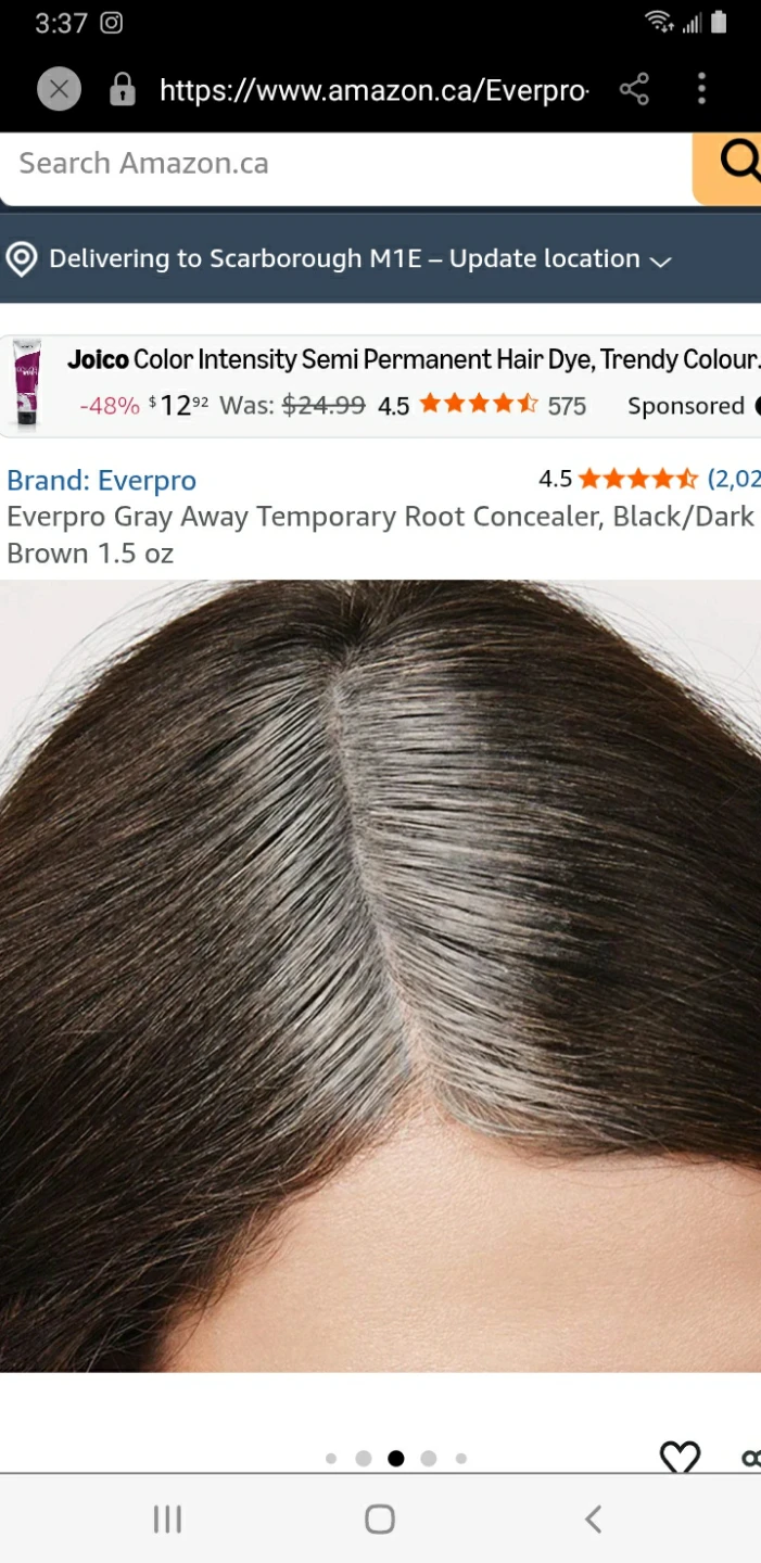Everpro Gray Away Temporary Root Concealer Black/Dark Brown
