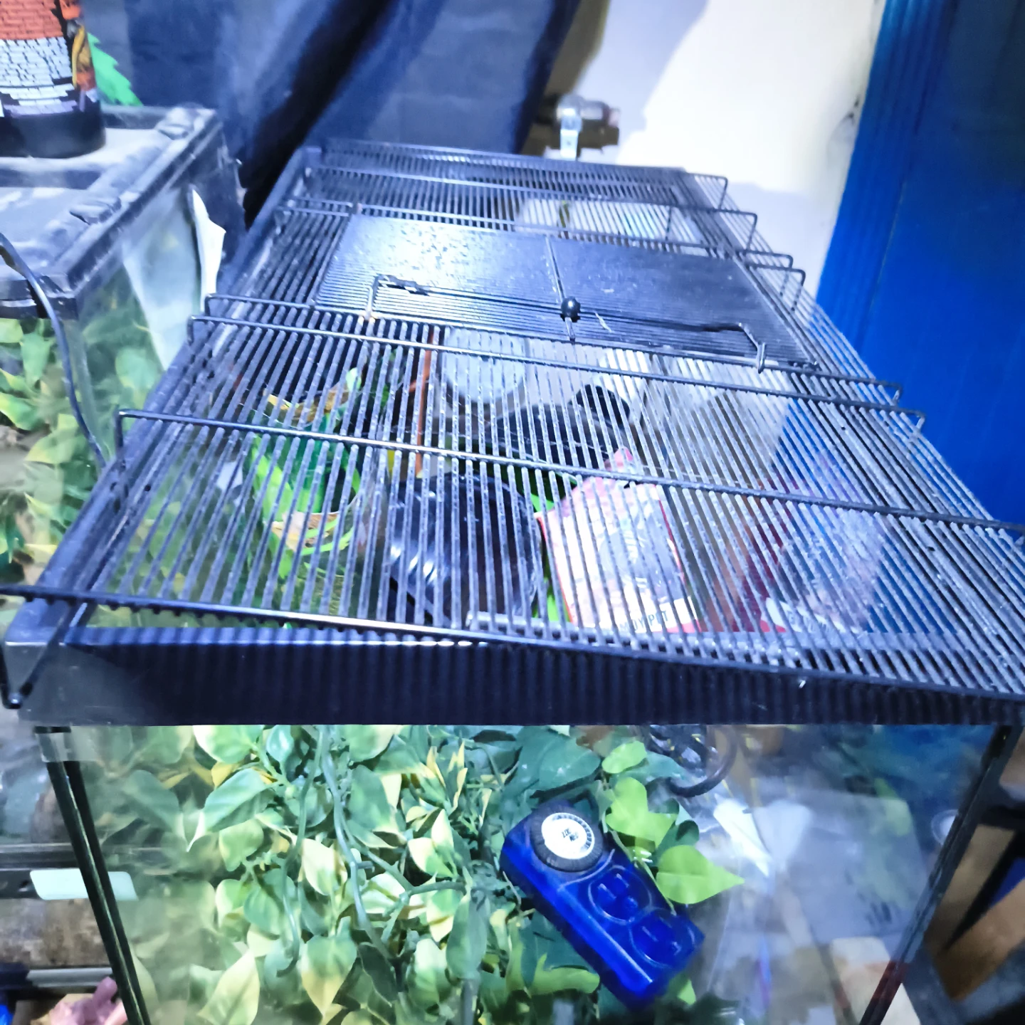 Exo Terra Glass Terrariums with Decor and 30gal tank - photo 4