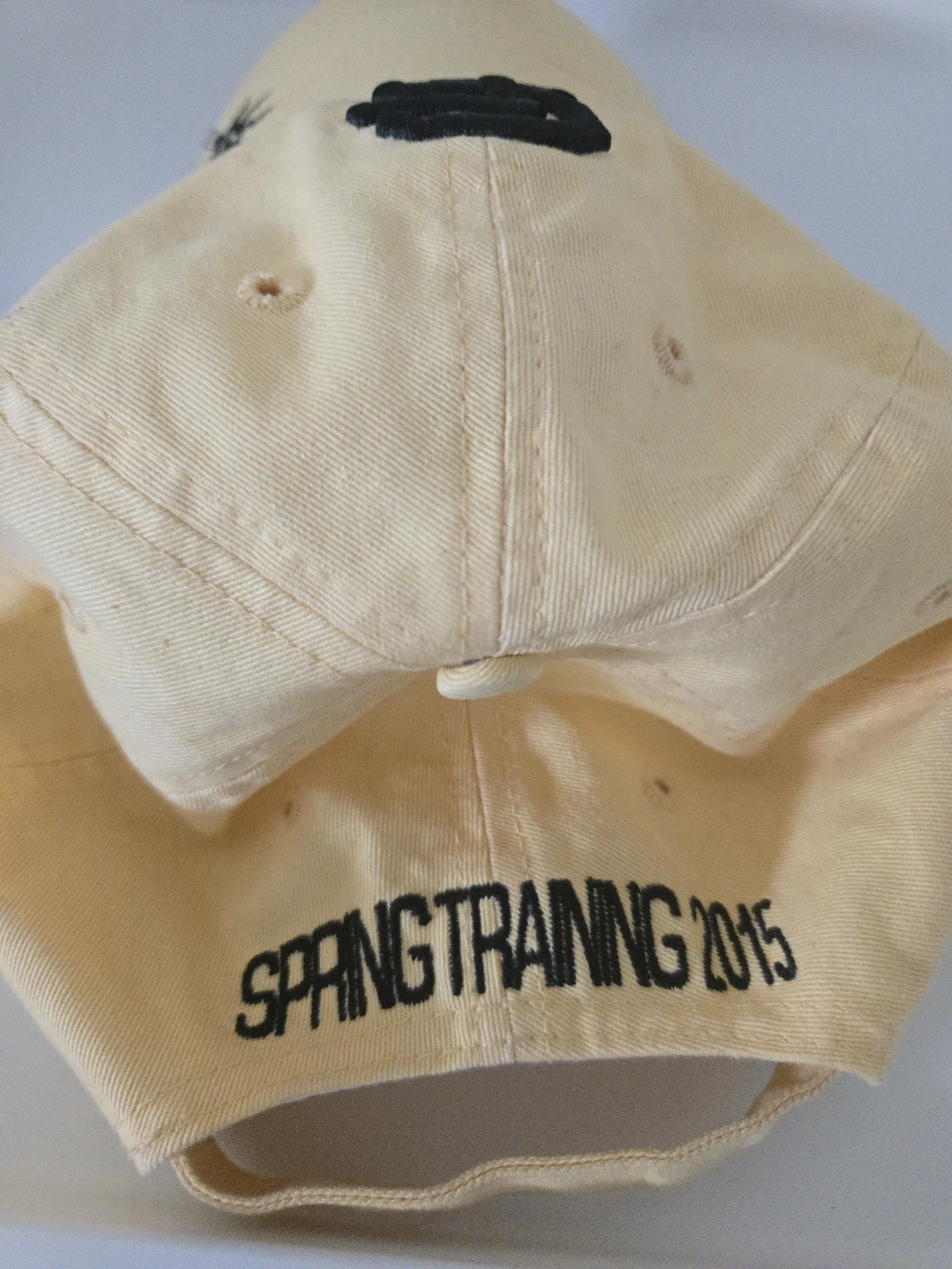 San Francisco Giants 2015 Spring Training Hat - photo 3
