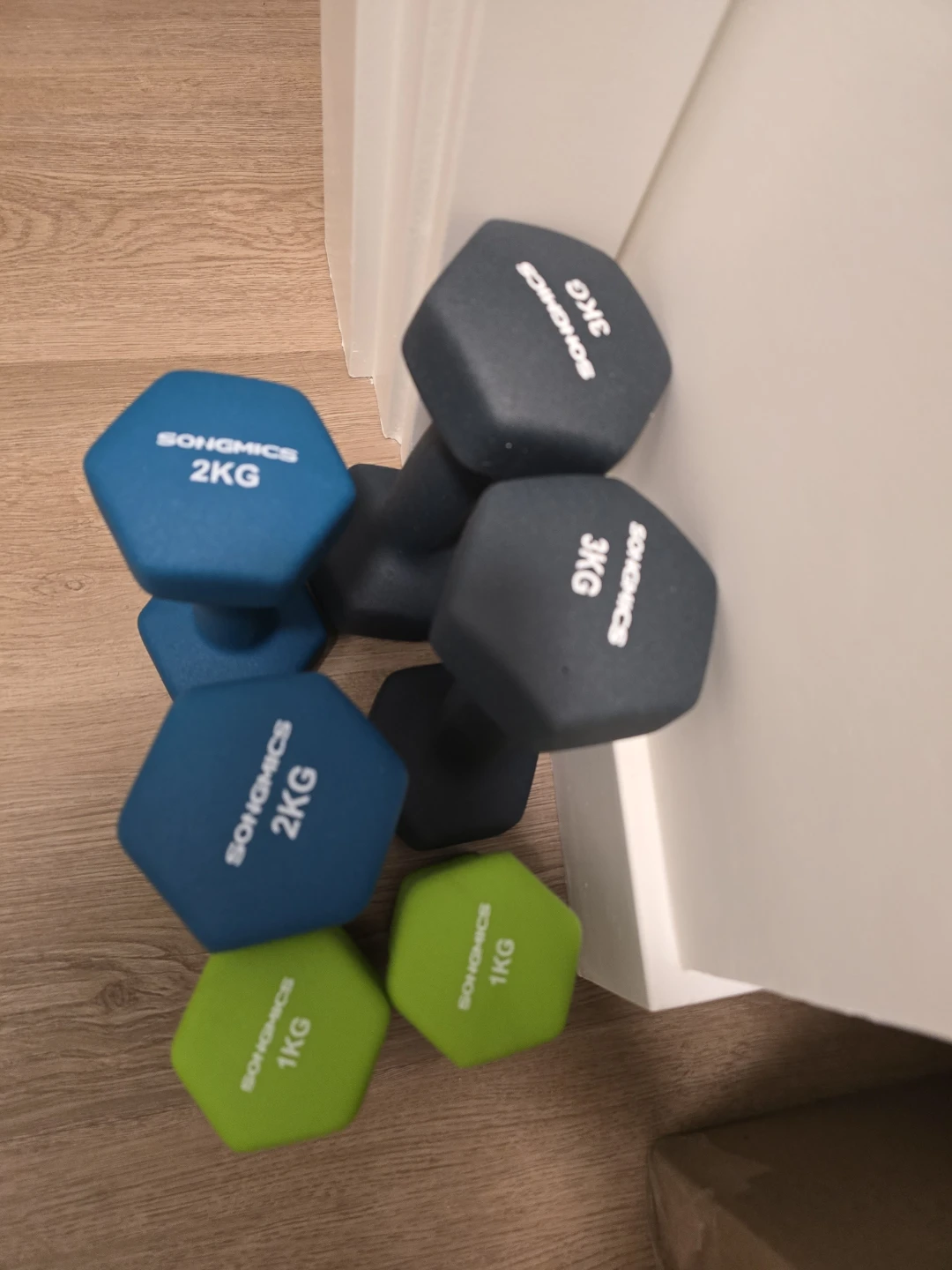 SONGMICS Neoprene Dumbbell Set 1kg, 2kg, 3kg