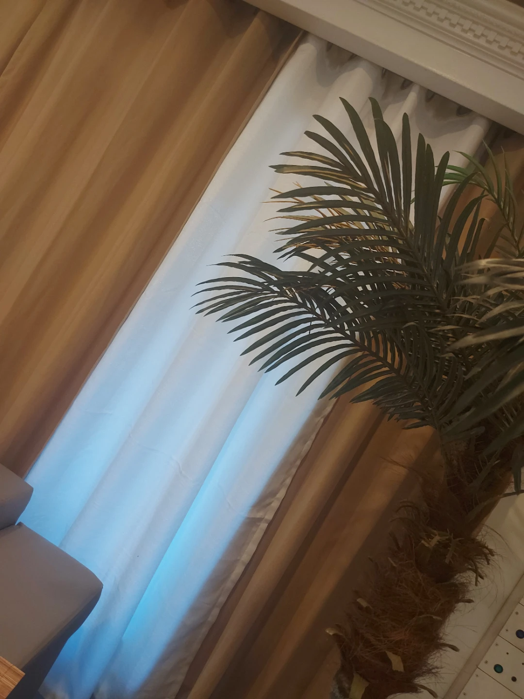 6 curtains