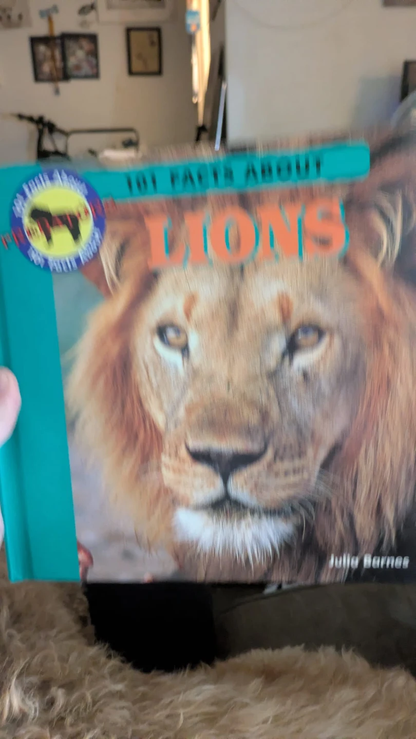 Assortment of children books for sale