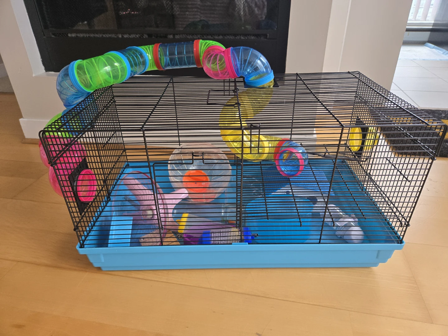 Hamster cage with tunnel system