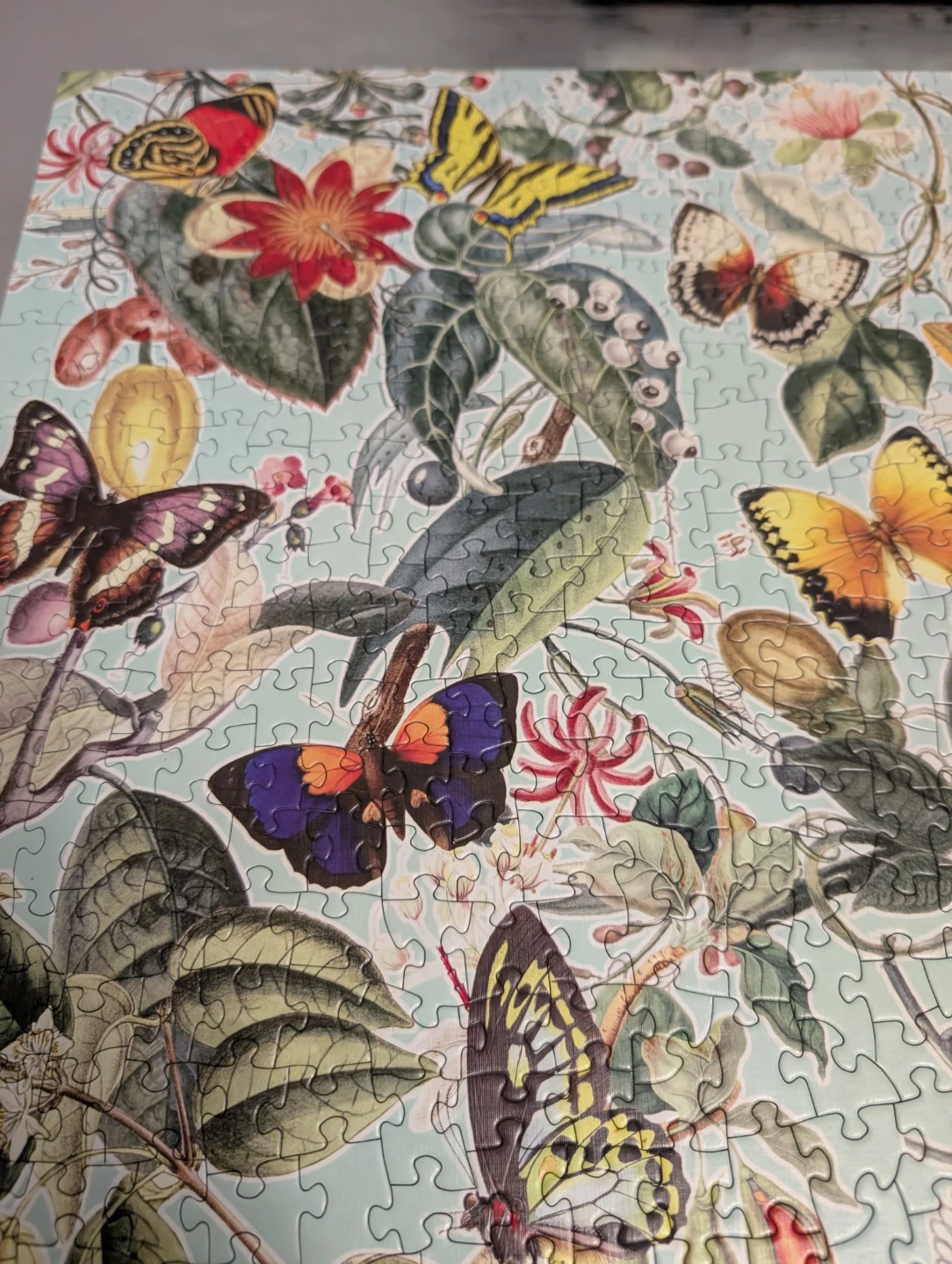 Fruit and Flutterbies 1000 Piece Jigsaw Puzzle 🧩 - photo 4