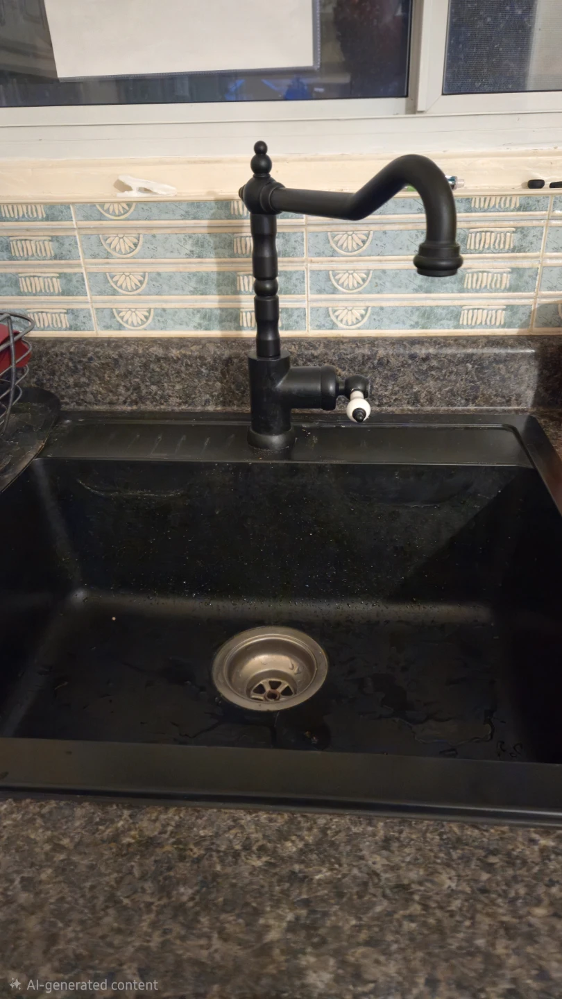 Matte Black Kitchen Faucet