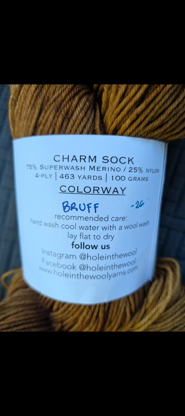Hole in the Wool Charm Sock Yarn in Bruff - photo 2