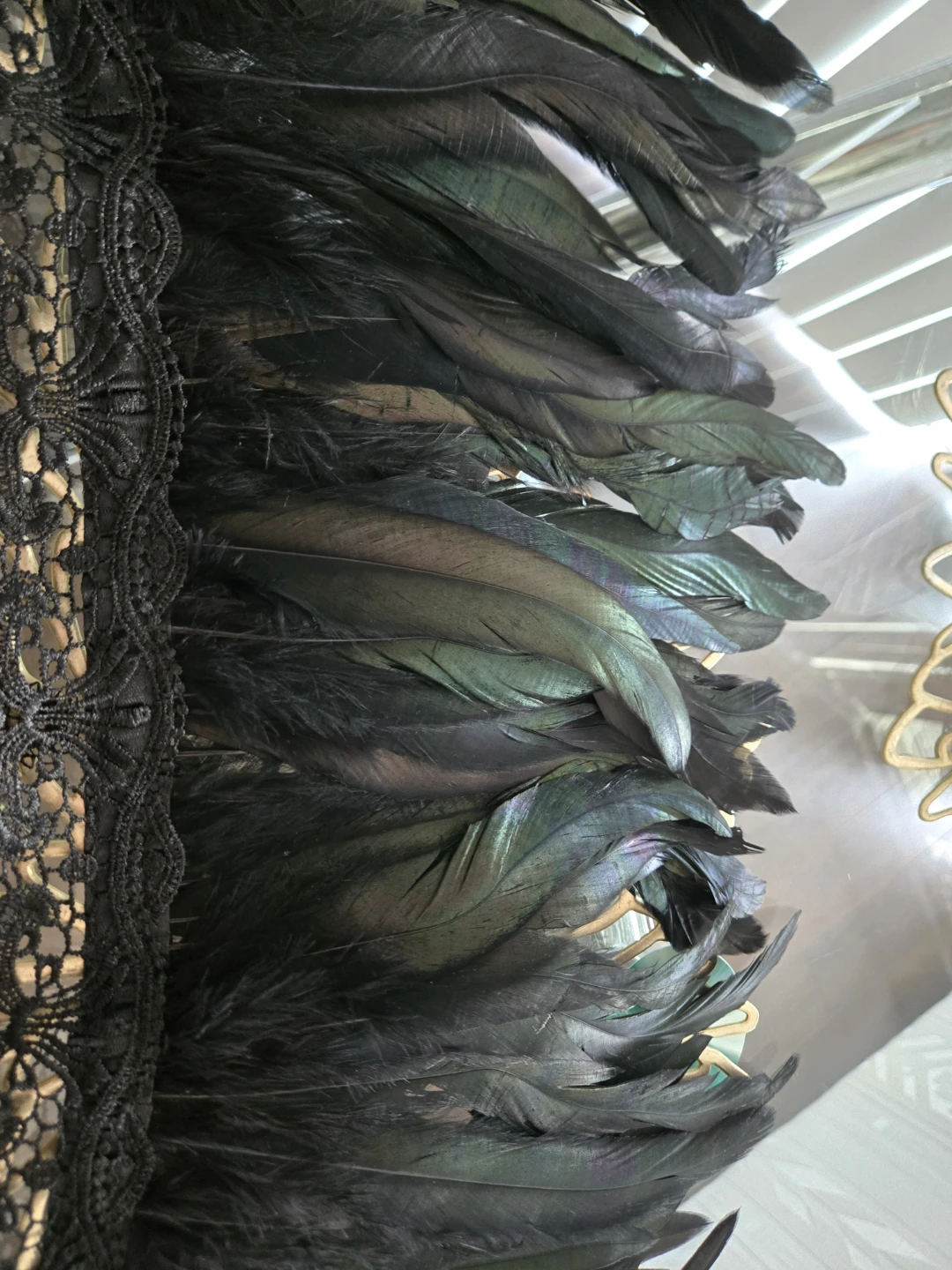 Black Feather and Lace Shoulder Cape - photo 3