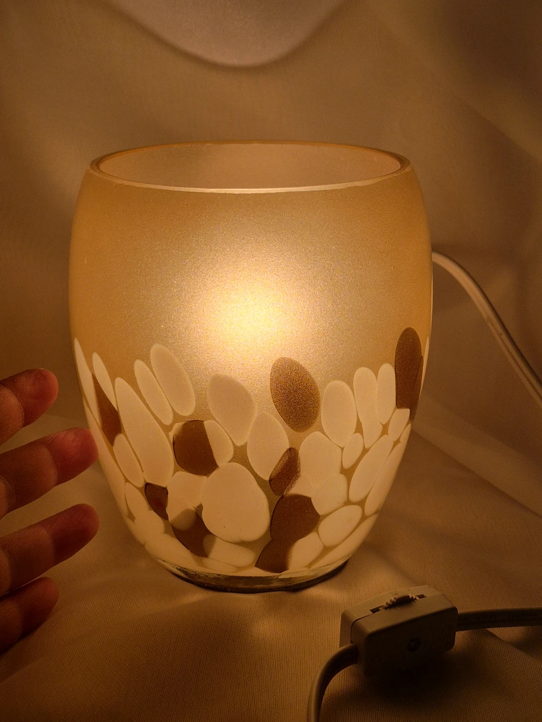 Beautiful Glass Shade Table Lamp