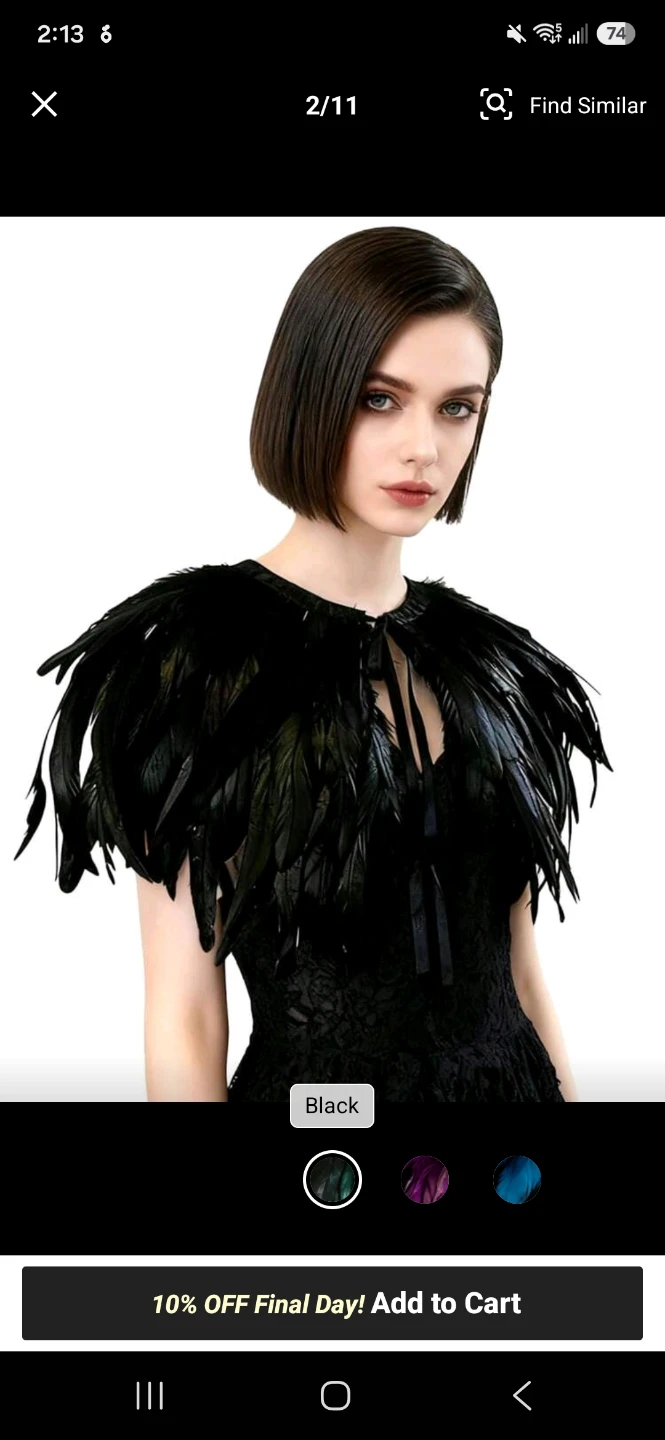 Black Feather and Lace Shoulder Cape