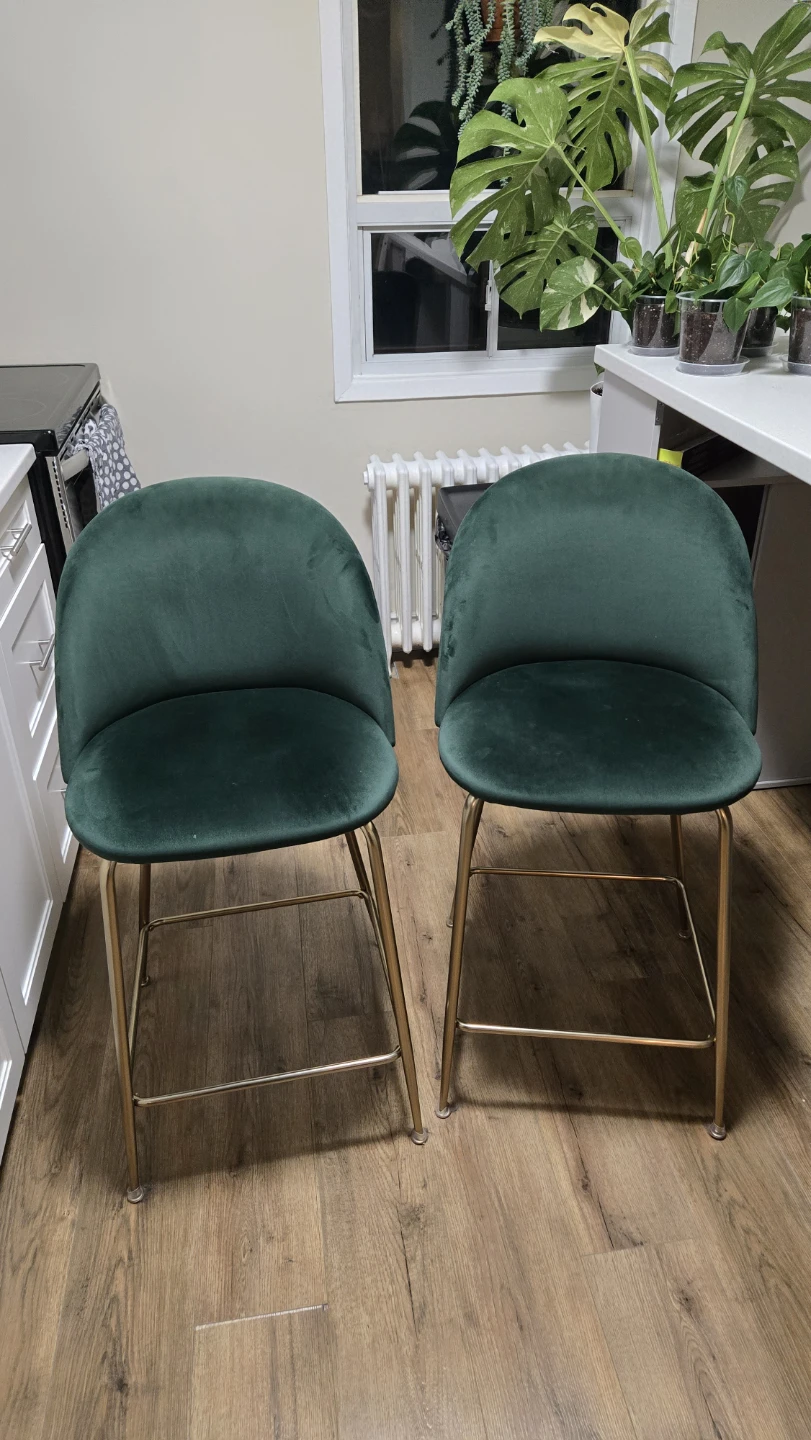 Tall Bar Chairs (Structube)