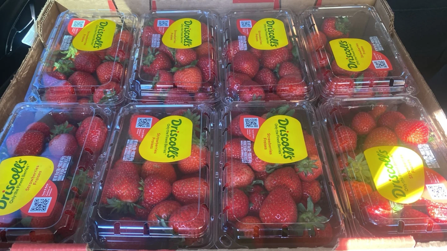 Fresh Driscoll's Fresh Strawberries 25$  per box of 8. - photo 3