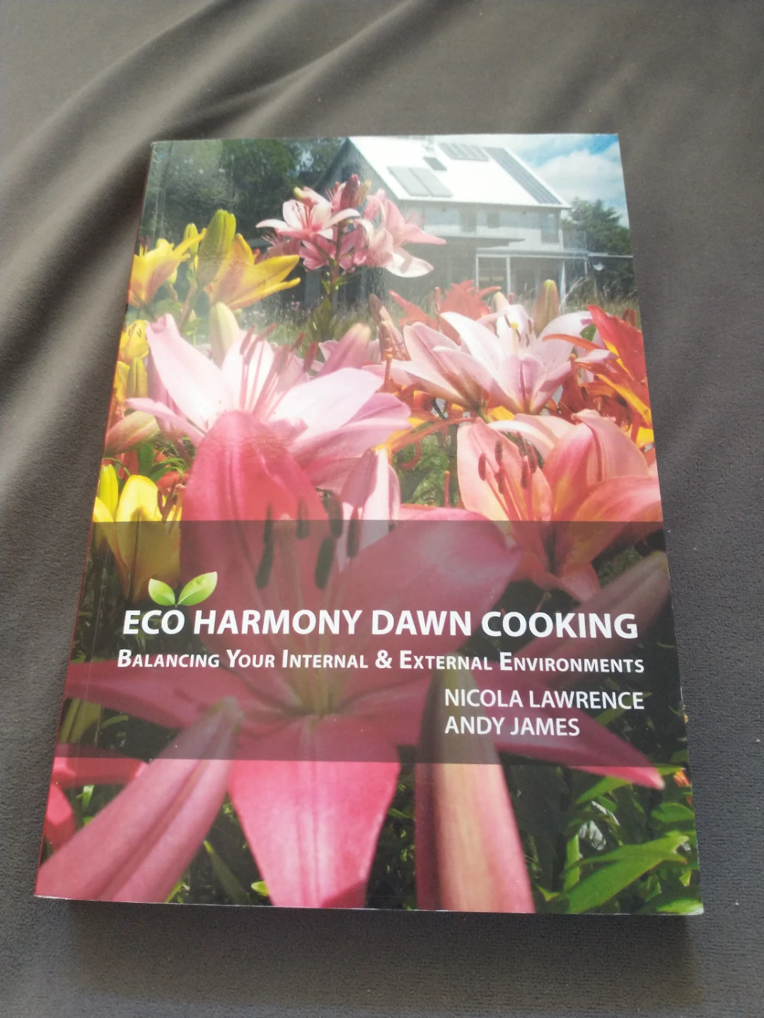 Eco Harmony Dawn Cooking - Nicola Lawrence & Andy James