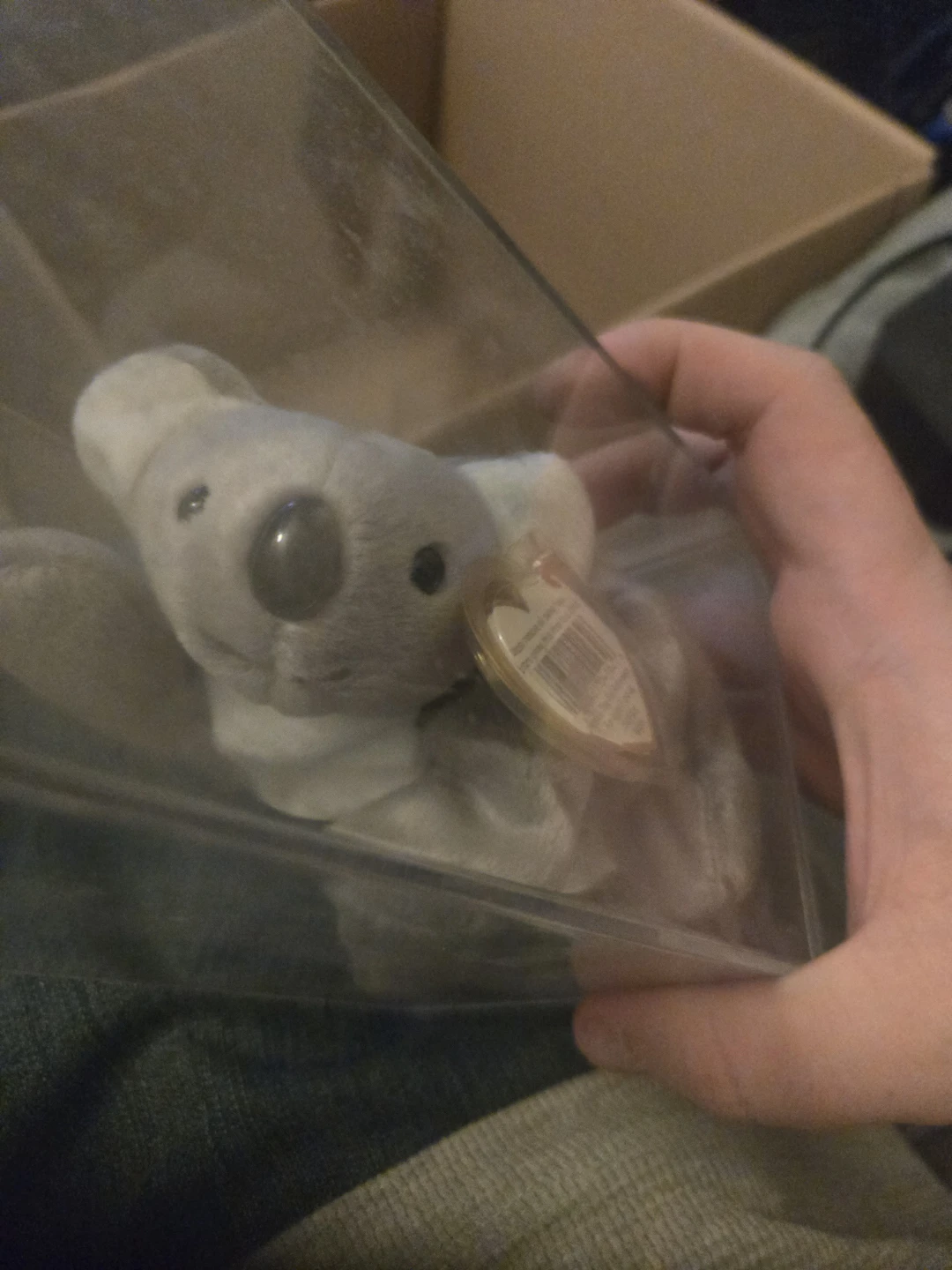 Ty Beanie Baby Koala