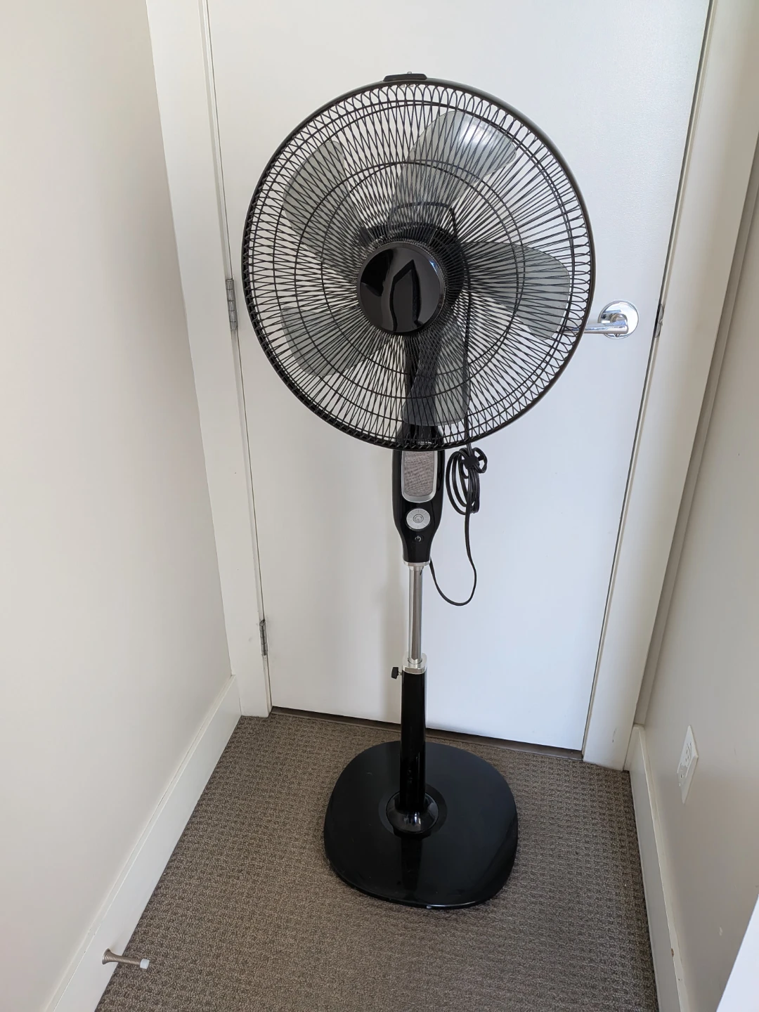 Black Standing Pedestal Fan
