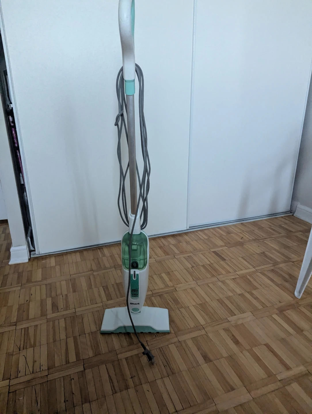 Steam Cleaner