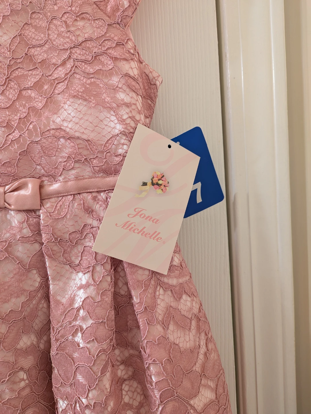 Jona Michelle Pink Lace Dress Girls Size 7 - photo 5