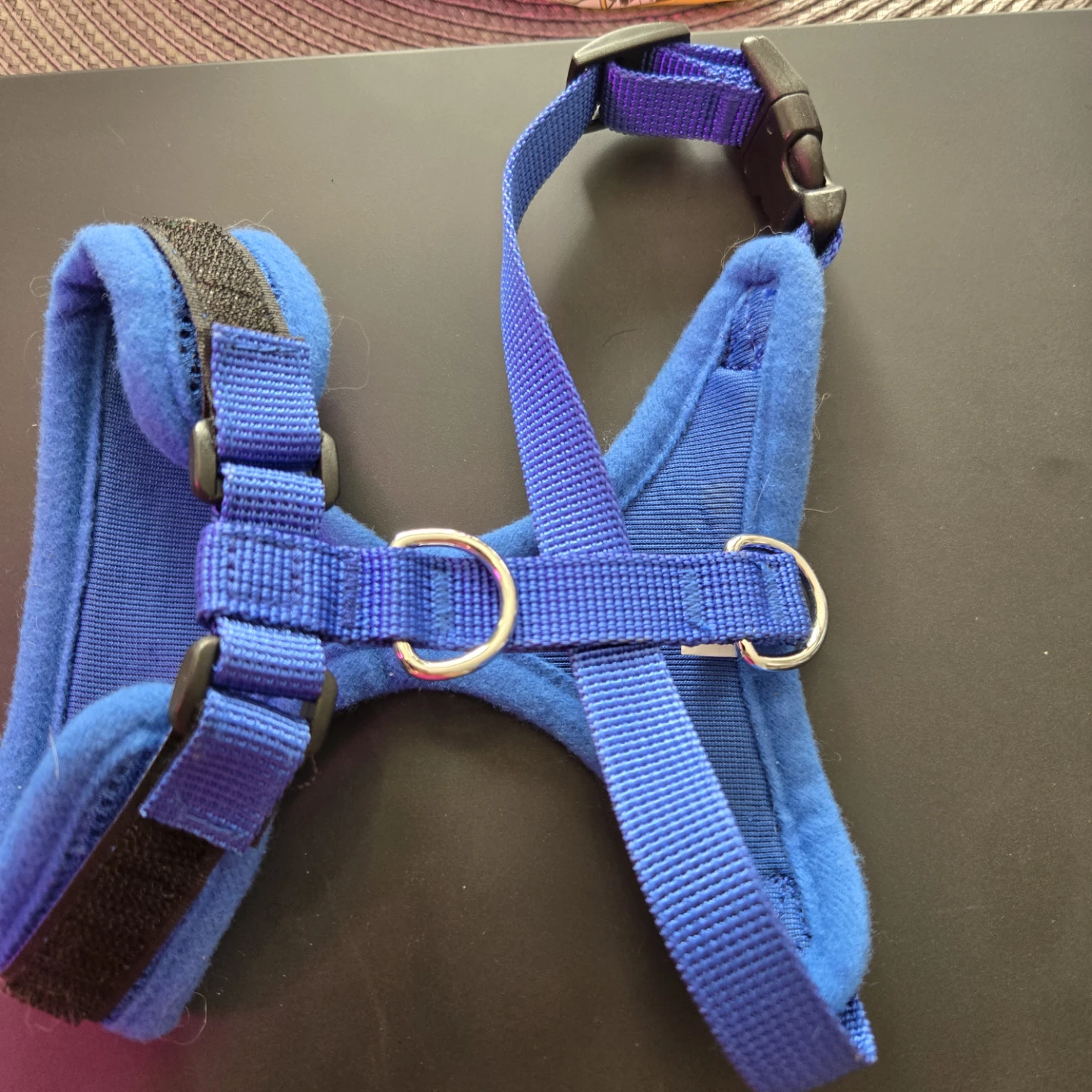 Blue Small Dog Harness - photo 2