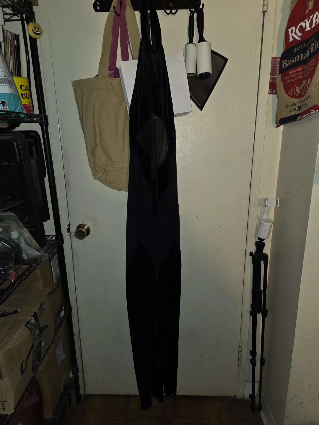 Sheer/Velour Choker Catsuit in a Ladies L