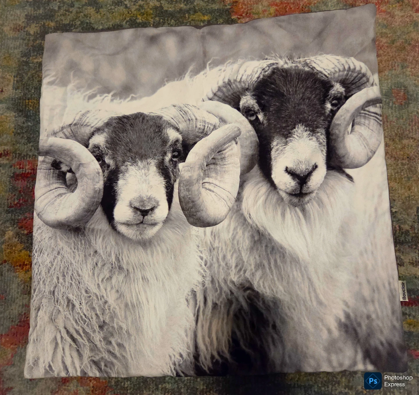 Set of 4 Bouclair Ram Cushion Covers for $15