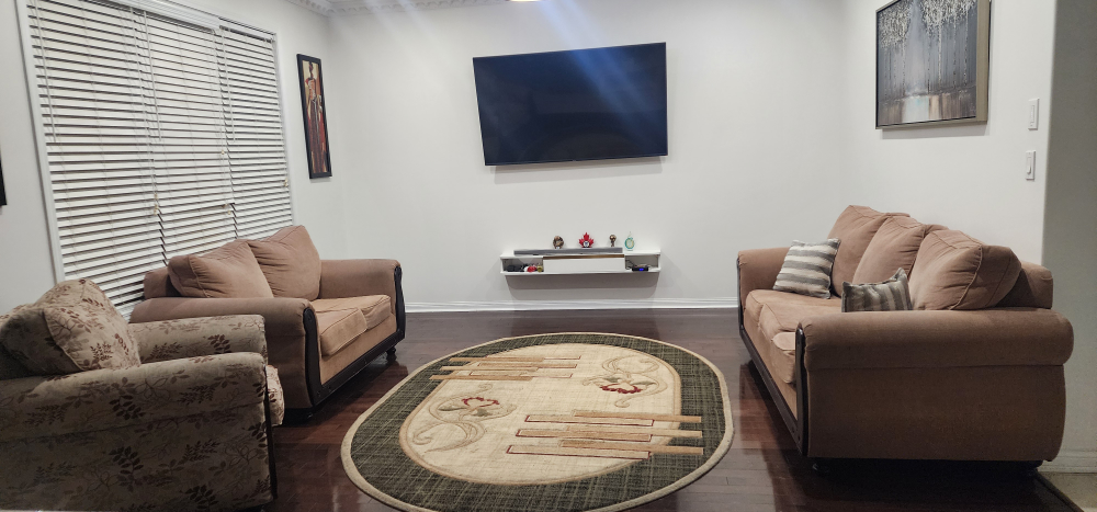 3-Piece Sofa Set with Area Rug