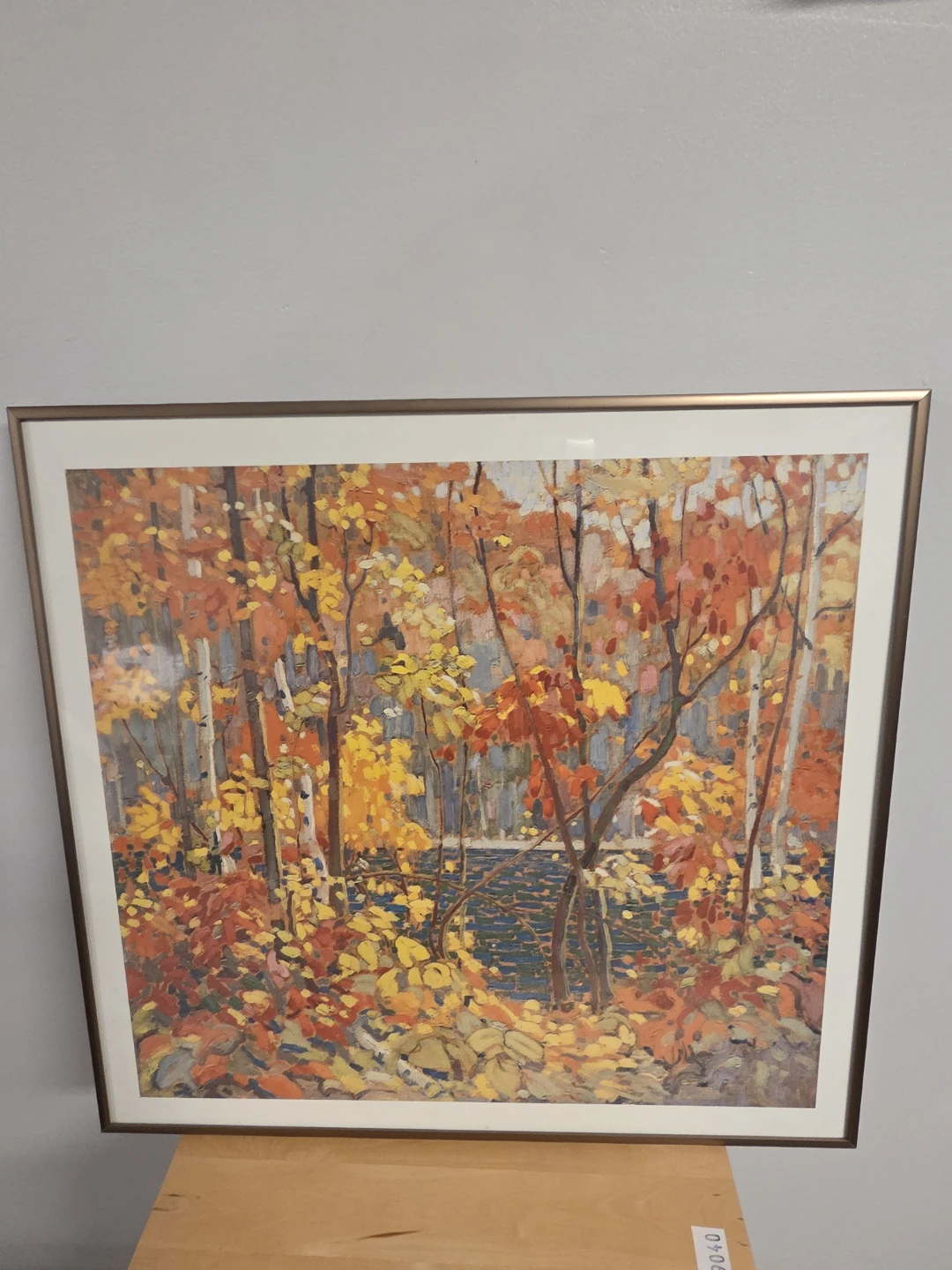 Tom Thomson The Pool Framed Print