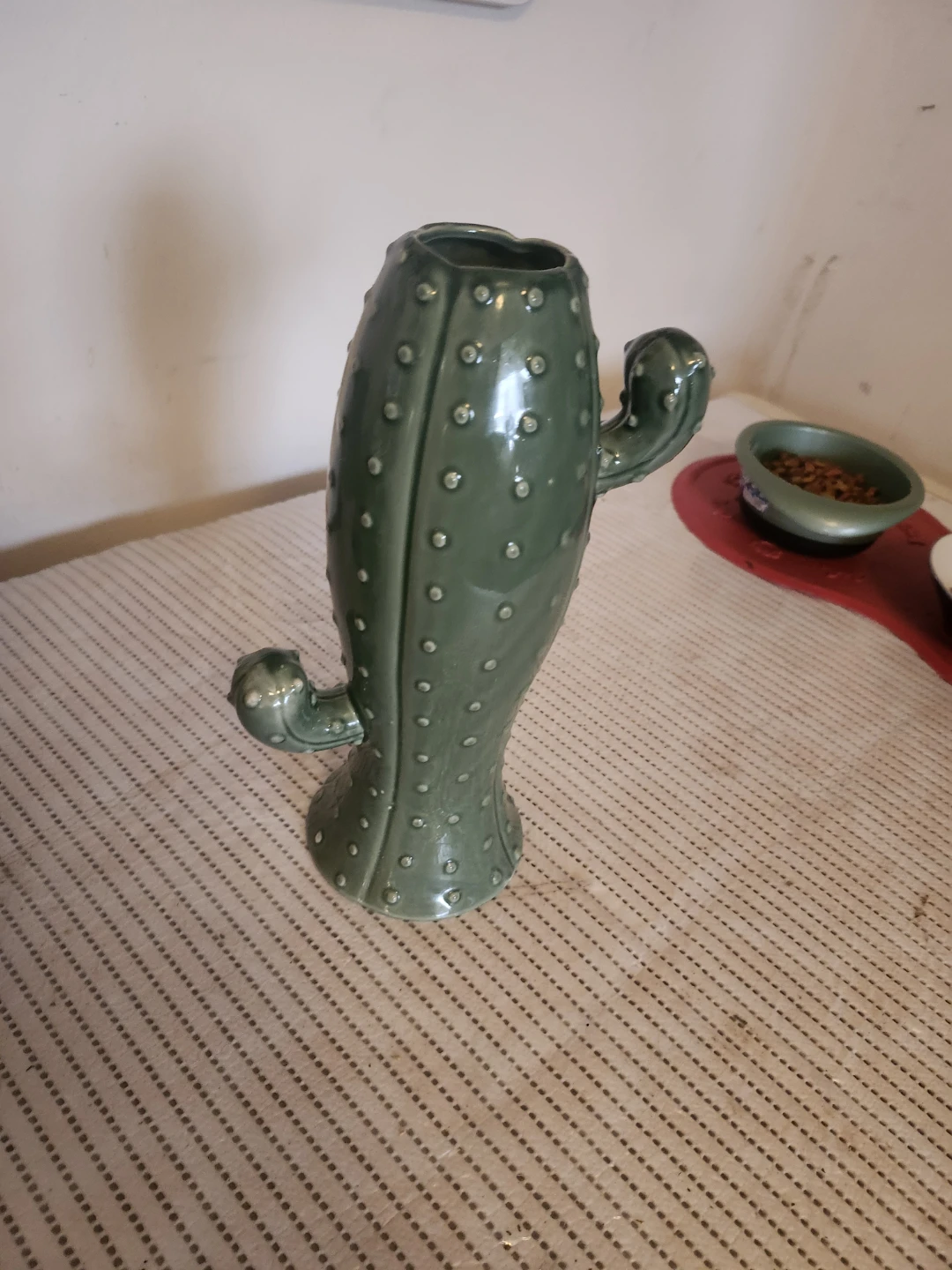 Homesense Cactus Vase
