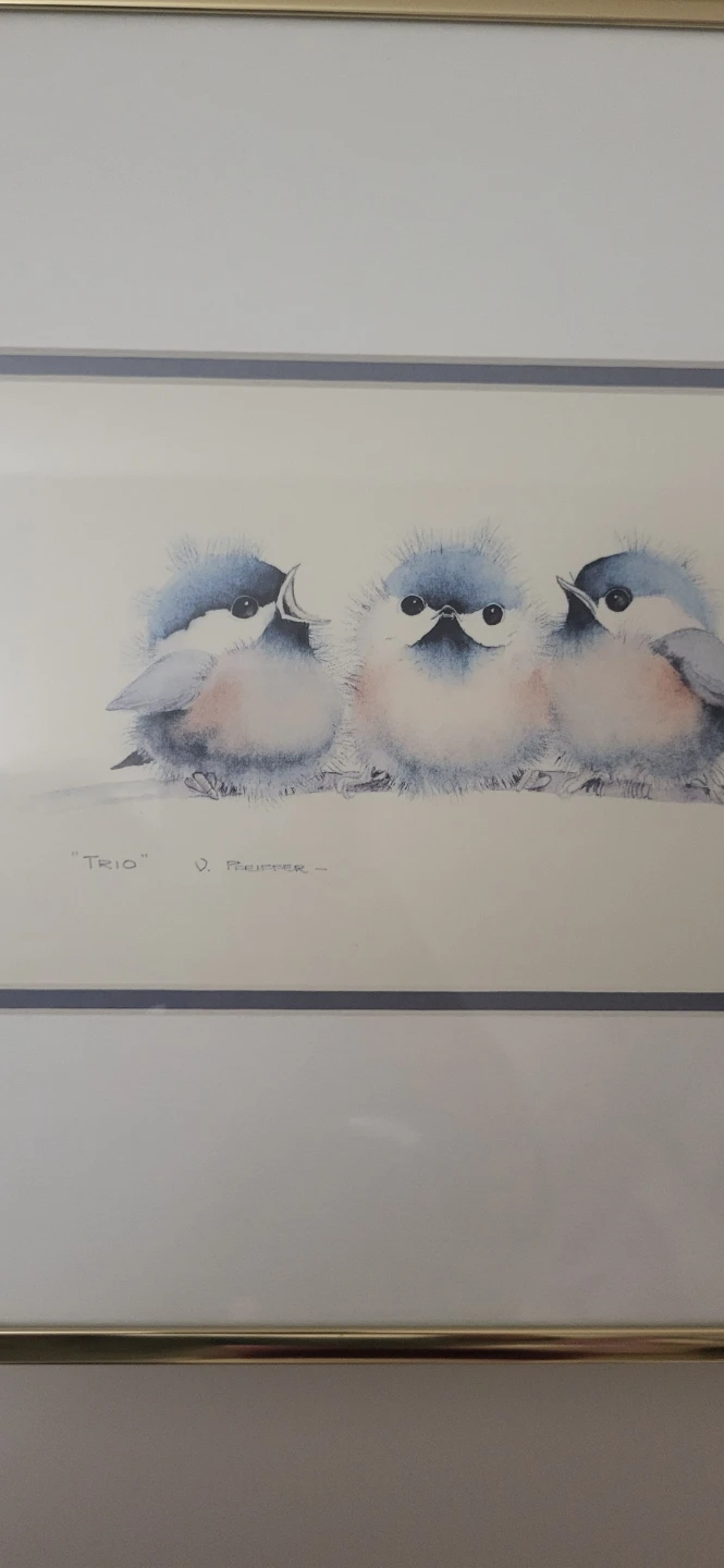 V. Pfeiffer Duo and Trio Bird Prints - photo 4