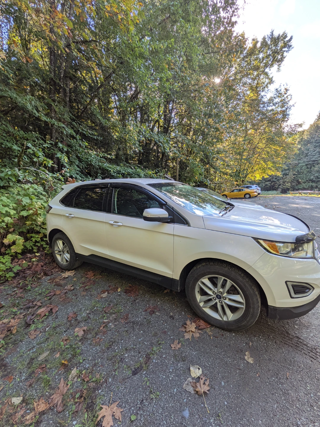 Ford Edge - photo 2