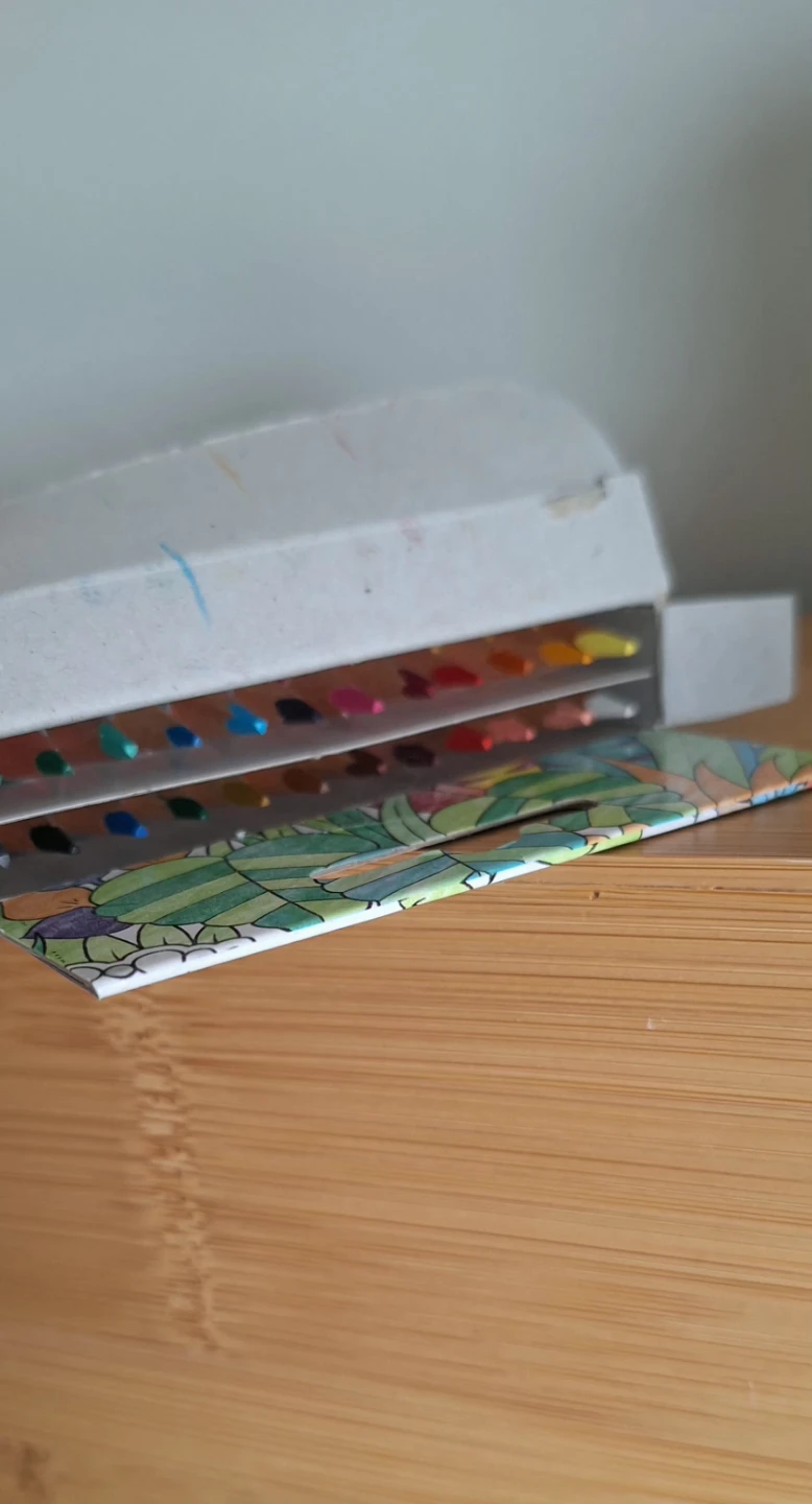 Staedtler Duo-Color 48 Colours Set of 24 Pencils - photo 4