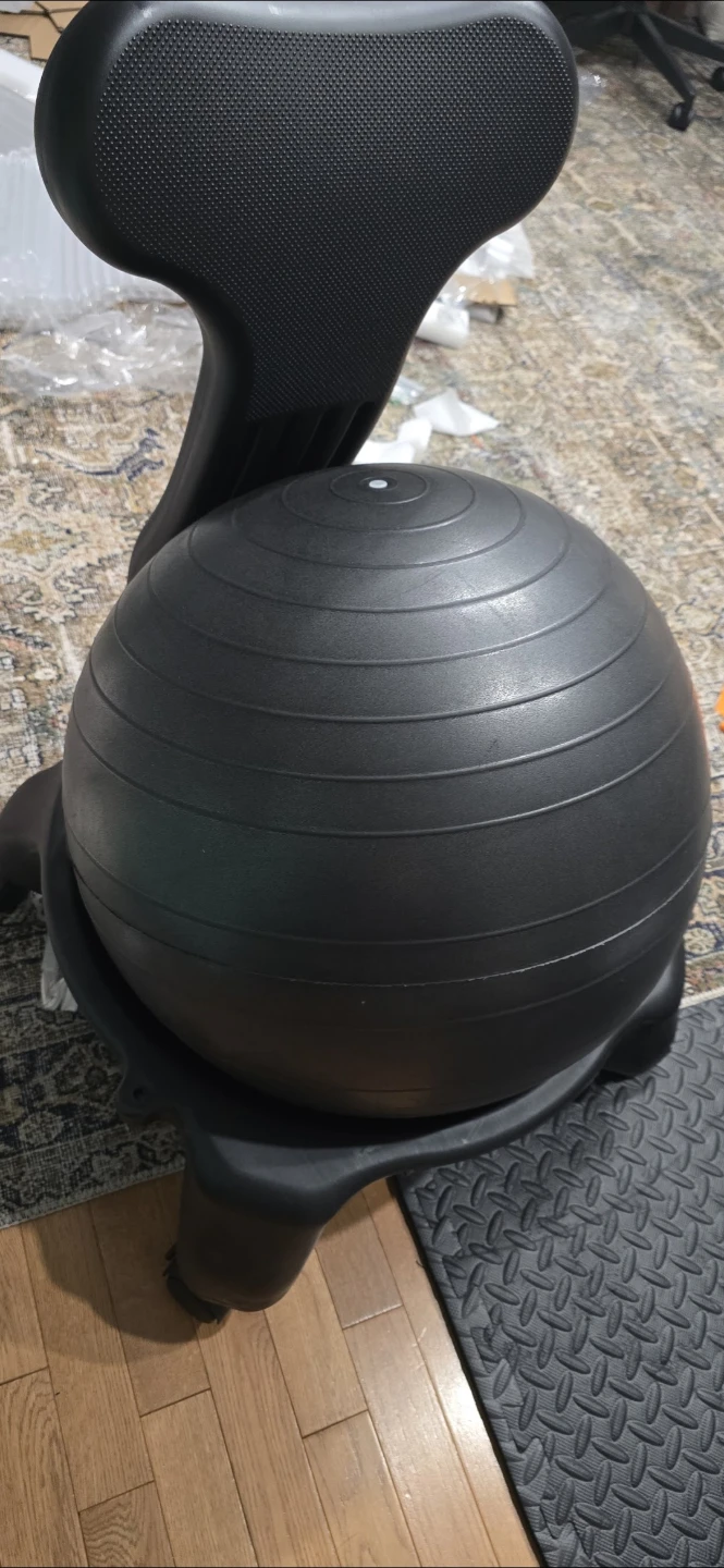 Black Balance Ball Office Chair