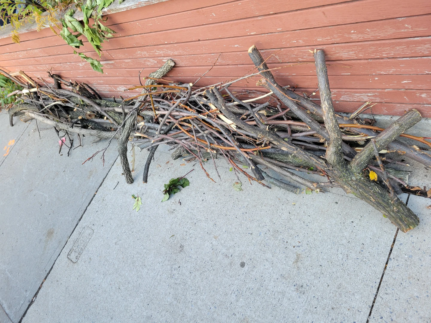 Firewood and tree branches wood log - photo 2