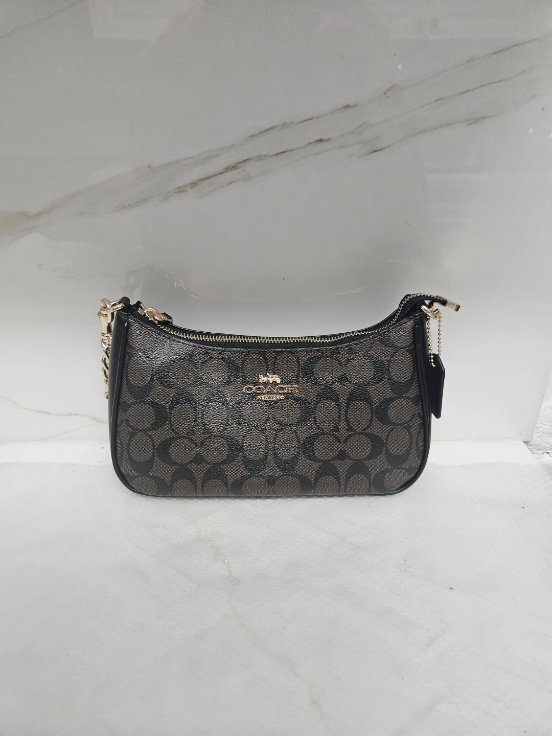 Coach Signature Canvas Teri Shoulder Bag