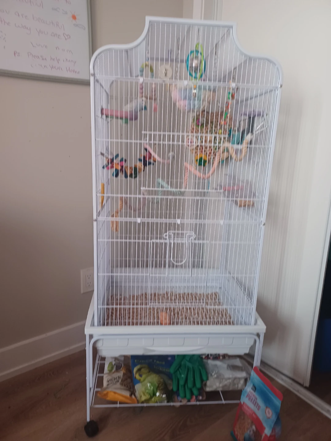 2 budgies , Large White Bird Cage with Assorted Toys