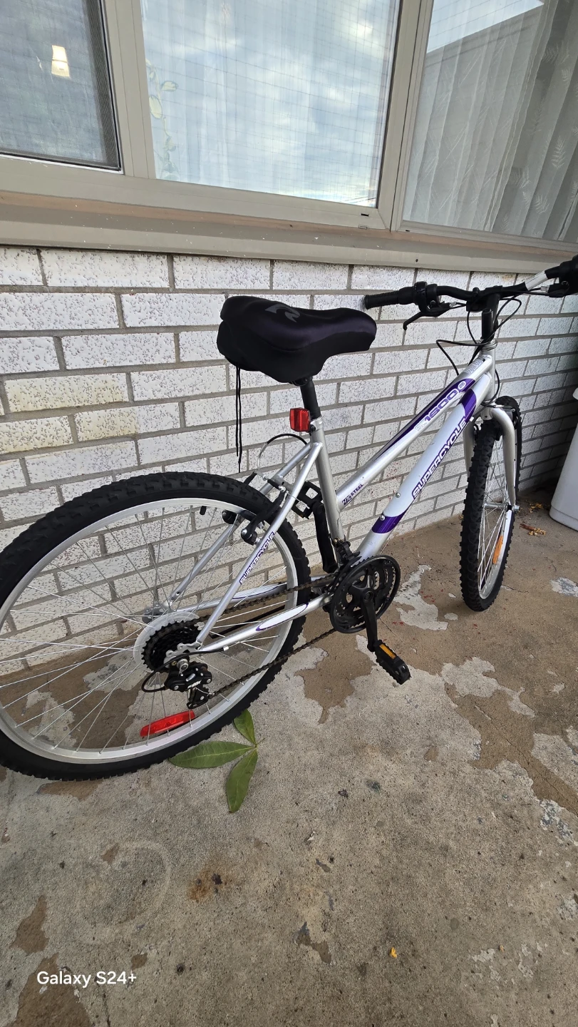 Cycle - photo 2
