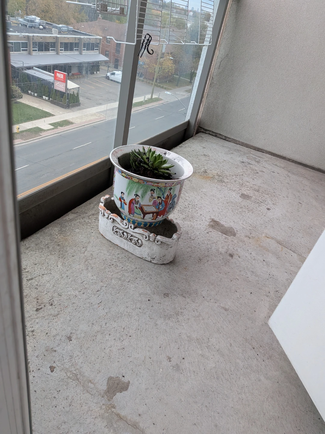 Antique chinese vase with cactus plant - photo 3