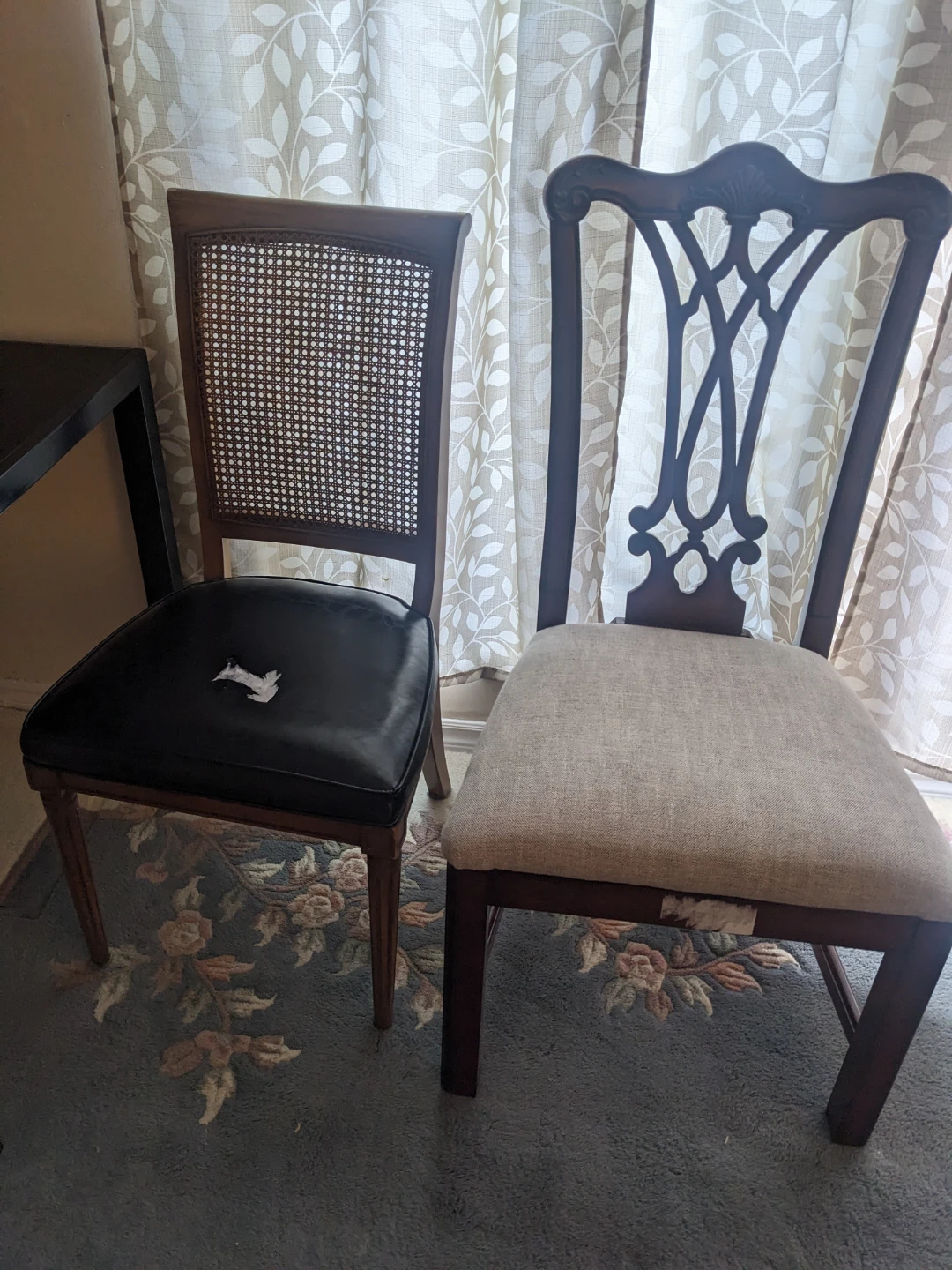 Two wooden dining chairs