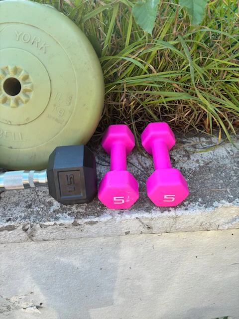 York Barbell Plates and Assorted Dumbbells