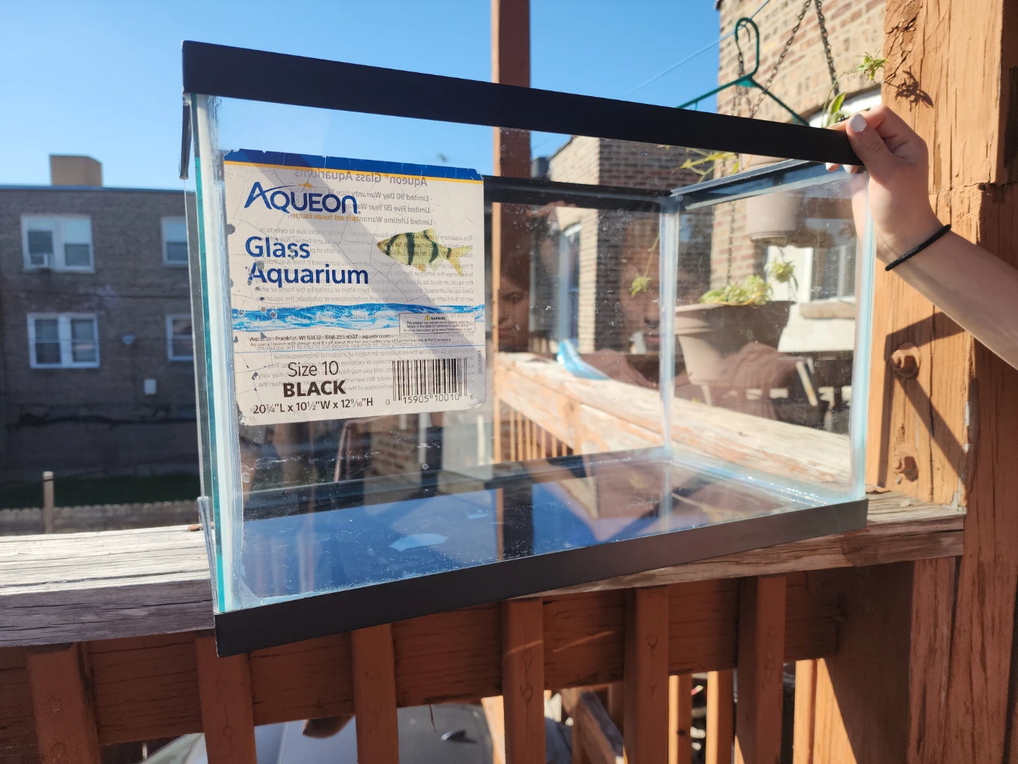 Aqueon 10 Gallon Glass Aquarium
